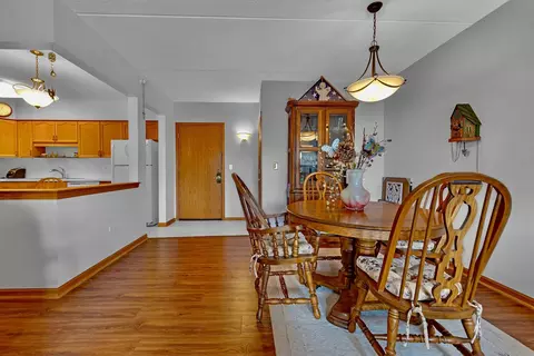 1477 E Thacker St #404, Des Plaines, IL 60016 photo 10