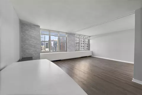 400 E Randolph St #3902, Chicago, IL 60601 photo 7