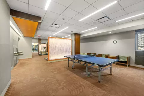 400 E Randolph St #3902, Chicago, IL 60601 photo 23