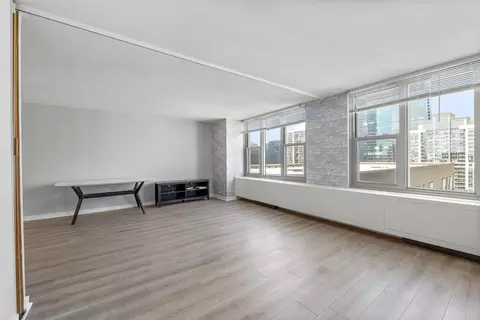 400 E Randolph St #3902, Chicago, IL 60601 photo 6