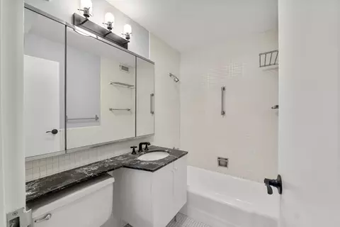 400 E Randolph St #3902, Chicago, IL 60601 photo 15