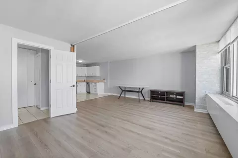 400 E Randolph St #3902, Chicago, IL 60601 photo 4