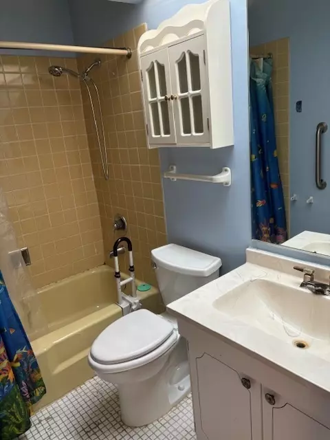 Bath - 511 Thomas Rd, Bolingbrook, IL 60440 photo 3 of 3
