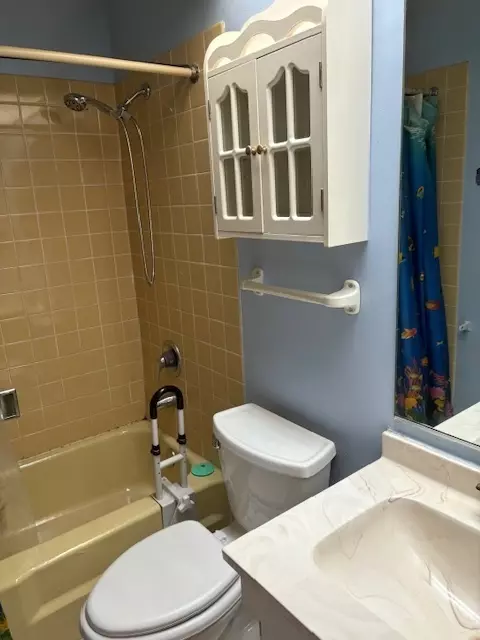 Bath - 511 Thomas Rd, Bolingbrook, IL 60440 photo 2 of 3