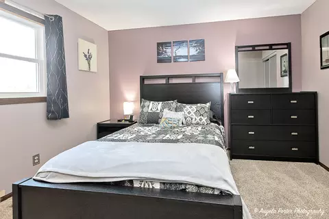 1615 May Dr, Johnsburg, IL 60051 photo 18