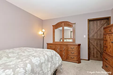 1615 May Dr, Johnsburg, IL 60051 photo 20