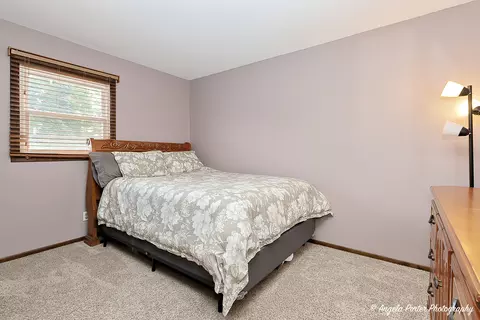 1615 May Dr, Johnsburg, IL 60051 photo 19