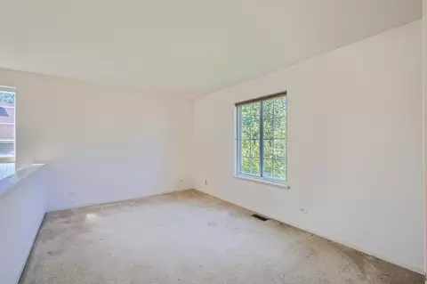 1346 Geneva Ln, Bartlett, IL 60103 photo 22