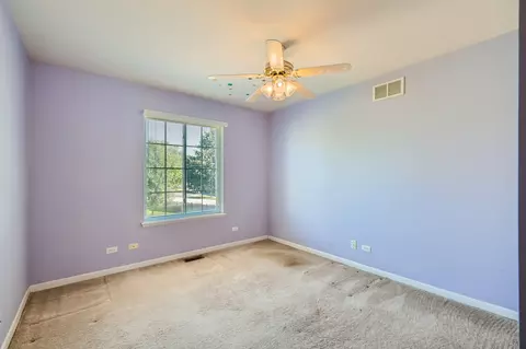 1346 Geneva Ln, Bartlett, IL 60103 photo 19