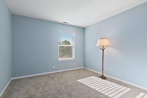 121 Boulder Dr, Gilberts, IL 60136 photo 17