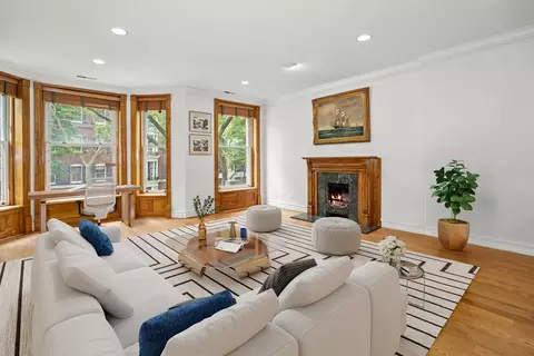 Living - 52 E Cedar St, Chicago, IL 60611 photo 8 of 8