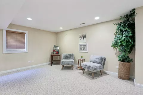 902 Dolder Ln, Spring Grove, IL 60081 photo 36
