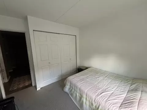 Bedroom - 5550 Astor Ln #203, Rolling Meadows, IL 60008 photo 1 of 3