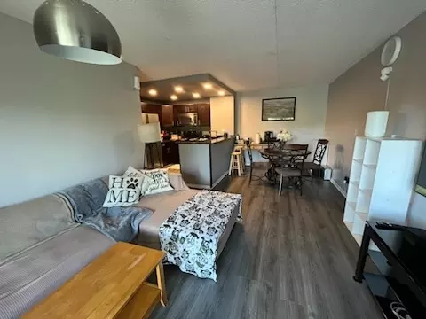Living - 5550 Astor Ln #203, Rolling Meadows, IL 60008 photo 2 of 3