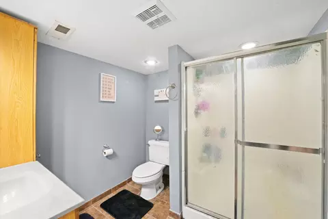 509 Spring St, Roselle, IL 60172 photo 18