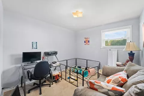 509 Spring St, Roselle, IL 60172 photo 13