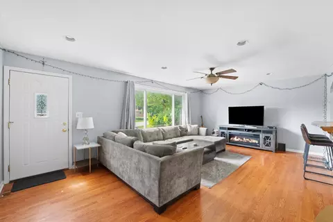 509 Spring St, Roselle, IL 60172 photo 3