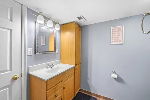 509 Spring St, Roselle, IL 60172 photo 19