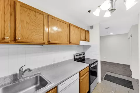 3255 Kirchoff Rd #312, Rolling Meadows, IL 60008 photo 9
