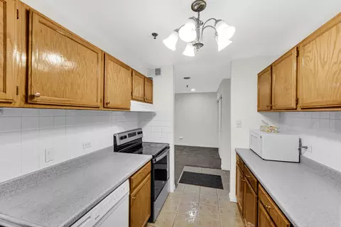 3255 Kirchoff Rd #312, Rolling Meadows, IL 60008 photo 8