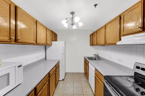 3255 Kirchoff Rd #312, Rolling Meadows, IL 60008 photo 10