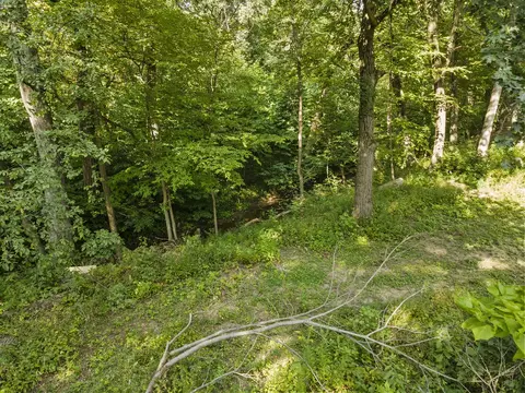 View/Area - 5534 W Timberlane, Monee, IL 60449 photo 3 of 5