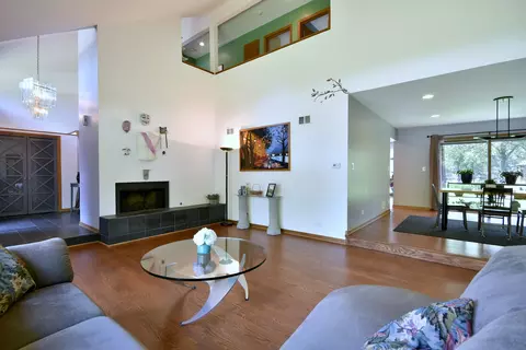 Living - 484 Parkview Pl, Burr Ridge, IL 60527 photo 5 of 5