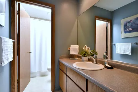 Bath - 484 Parkview Pl, Burr Ridge, IL 60527 photo 4 of 4
