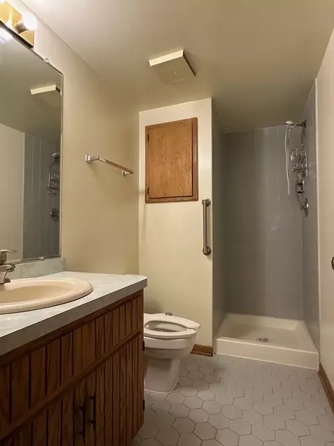 Bath - 10 S218 Oneill Dr, Burr Ridge, IL 60527 photo 2 of 2