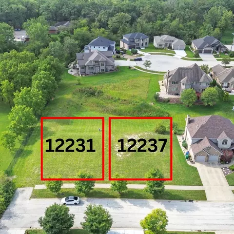 12231 Silver Maple Dr, Homer Glen, IL 60491