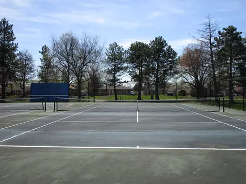 41 W Rozanne Dr, Addison, IL 60101 photo 39