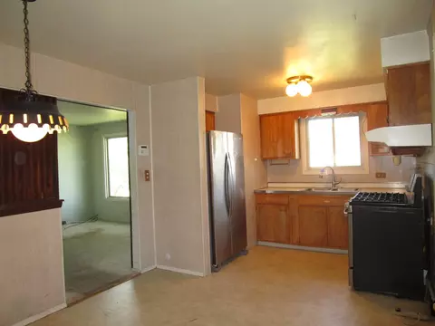 41 W Rozanne Dr, Addison, IL 60101 photo 16