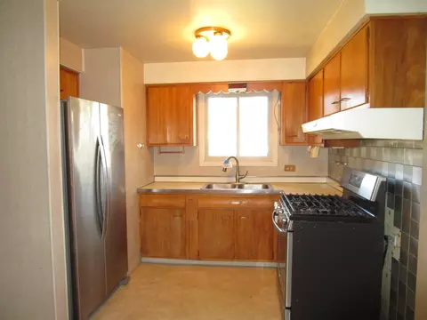 41 W Rozanne Dr, Addison, IL 60101 photo 17
