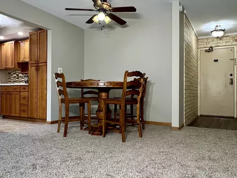114 E Bailey Rd #M, Naperville, IL 60565 photo 7
