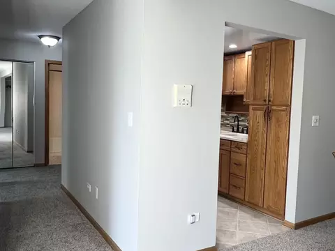 114 E Bailey Rd #M, Naperville, IL 60565 photo 6