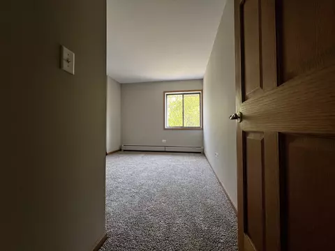 114 E Bailey Rd #M, Naperville, IL 60565 photo 11