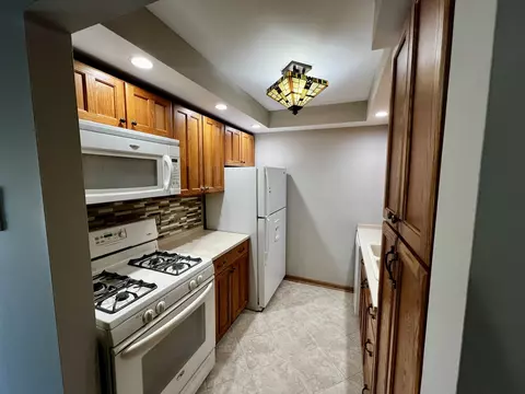 114 E Bailey Rd #M, Naperville, IL 60565 photo 3