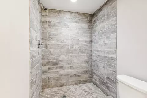 1728 W 90th Pl, Chicago, IL 60620 photo 44