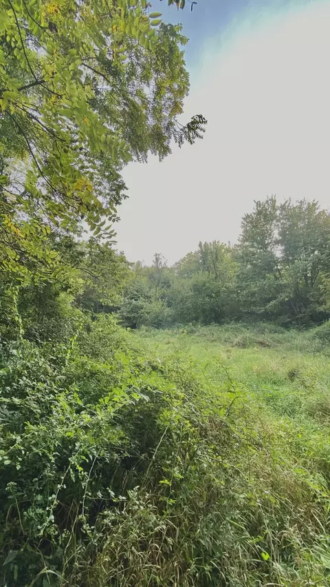 0 1250 N Ave, Buda, IL 61314 photo 7