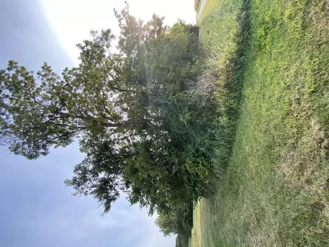 0 1250 N Ave, Buda, IL 61314 photo 14