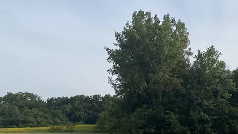 0 1250 N Ave, Buda, IL 61314 photo 13
