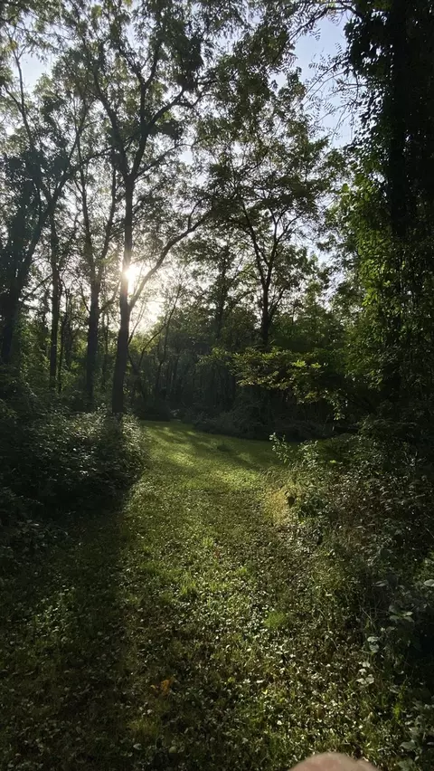 0 1250 N Ave, Buda, IL 61314 photo 8