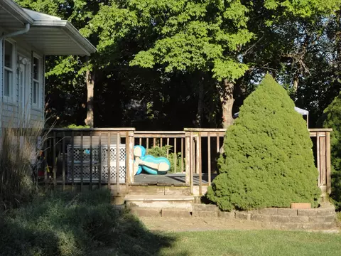 485 E Southmor Rd, Morris, IL 60450 photo 47