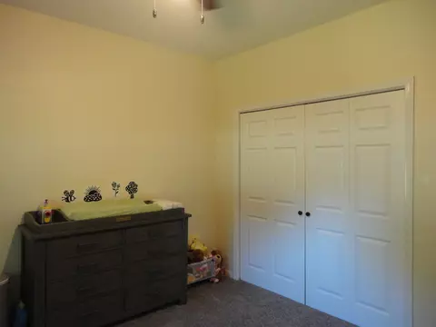 485 E Southmor Rd, Morris, IL 60450 photo 27
