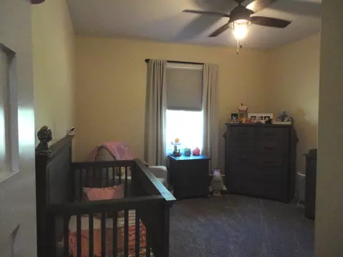 485 E Southmor Rd, Morris, IL 60450 photo 25