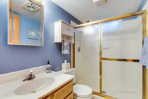 1015 N Dovington Dr, Hoffman Estates, IL 60169 photo 27