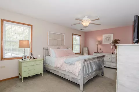 2219 Van Horn Ct, Plainfield, IL 60586 photo 13