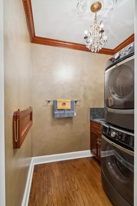 Other - 257 E Delaware Pl #3, Chicago, IL 60611 photo 11 of 12