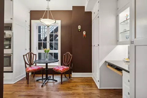 Other - 257 E Delaware Pl #3, Chicago, IL 60611 photo 8 of 12