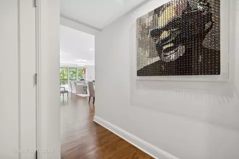 Entry Way - 270 E Pearson St #403, Chicago, IL 60611 photo 1 of 2